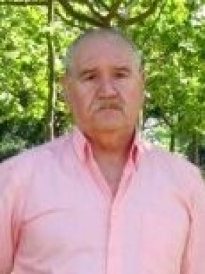 Spanish men looking for love